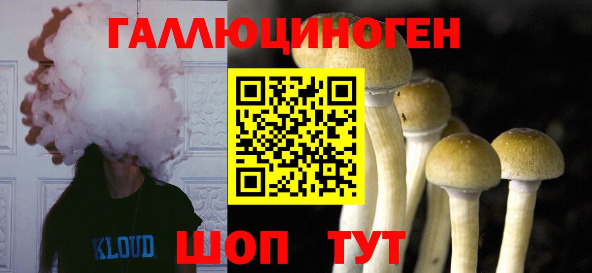 Псилоцибиновые грибы MAGIC MUSHROOMS  Вход с VPN  Гай 